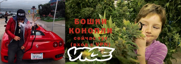 гидра Зеленодольск