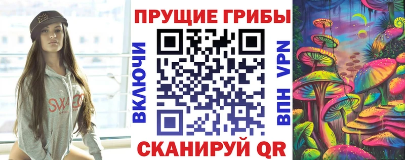 Купить  Павловская  Псилоцибиновые грибы мицелий 